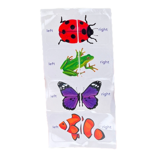 Left & Right Shoe Stickers