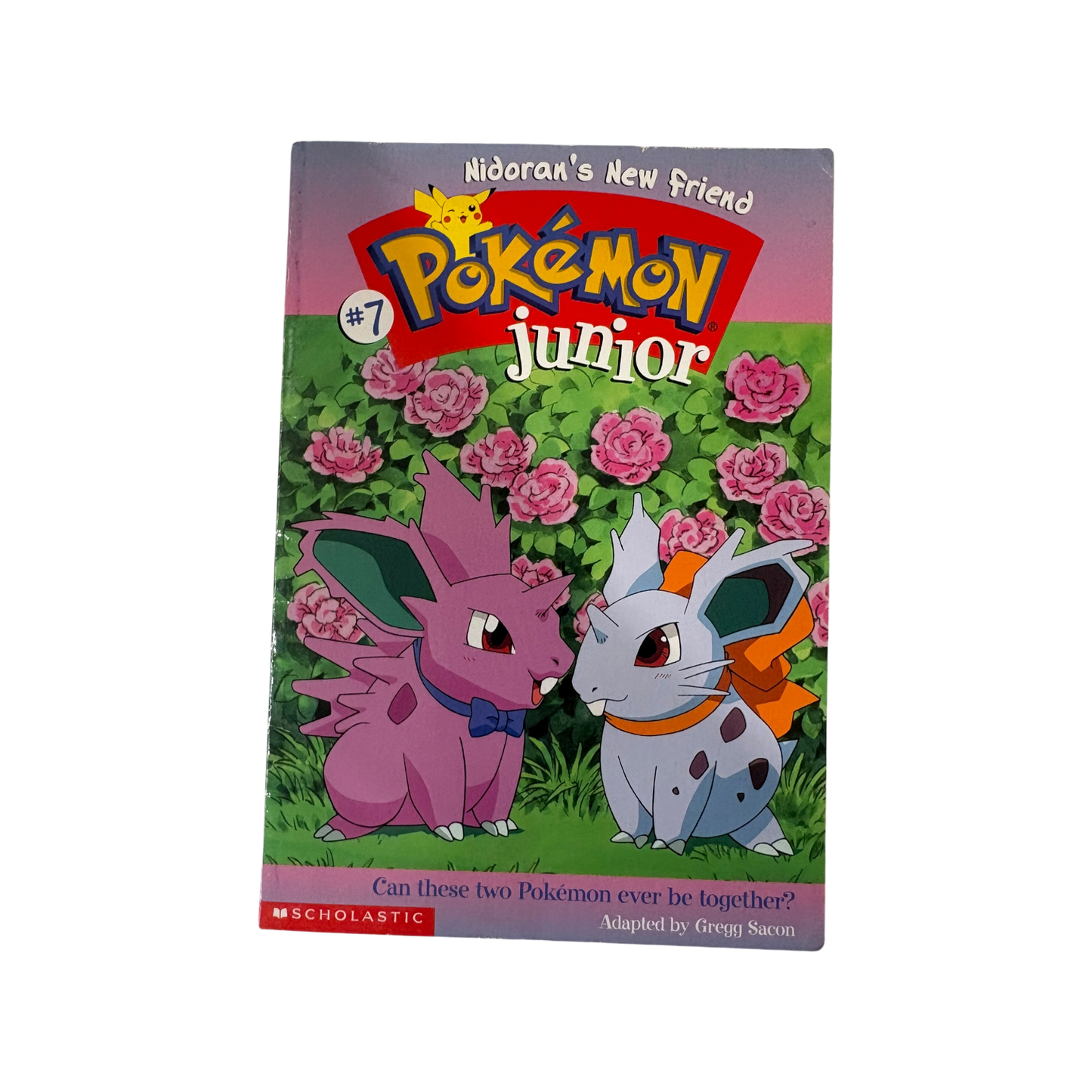 Pokémon Junior #7: Nidoran’s New Friend