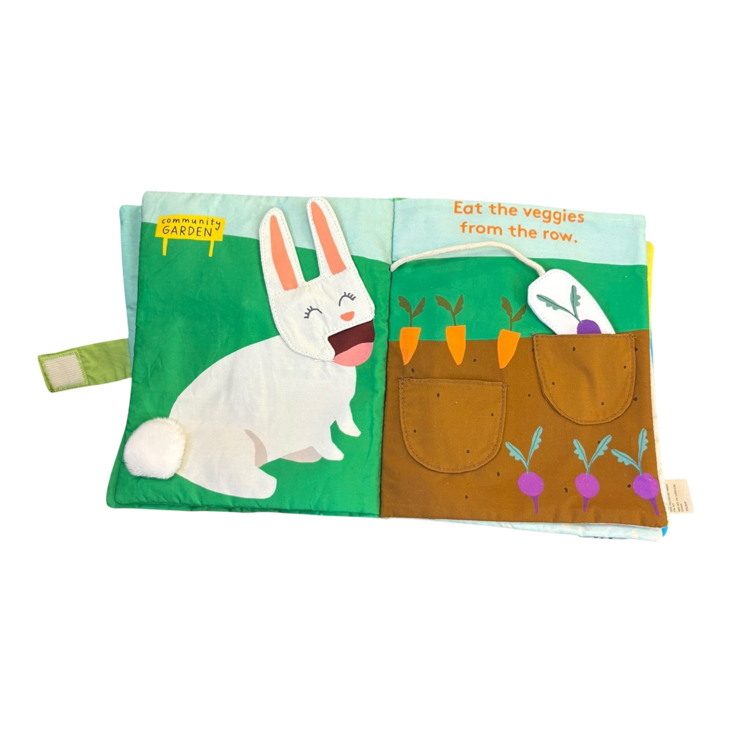 Plant a Seed and Watch it Grow