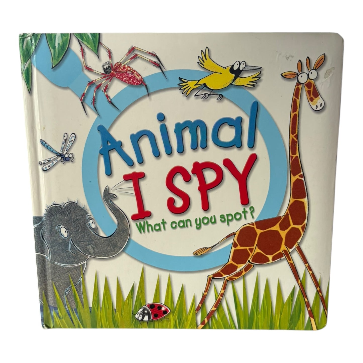 Animal I Spy