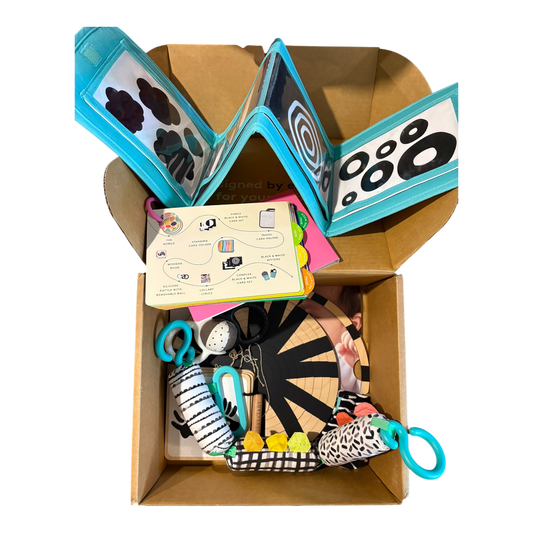 Looker Playkit (1-2 months)