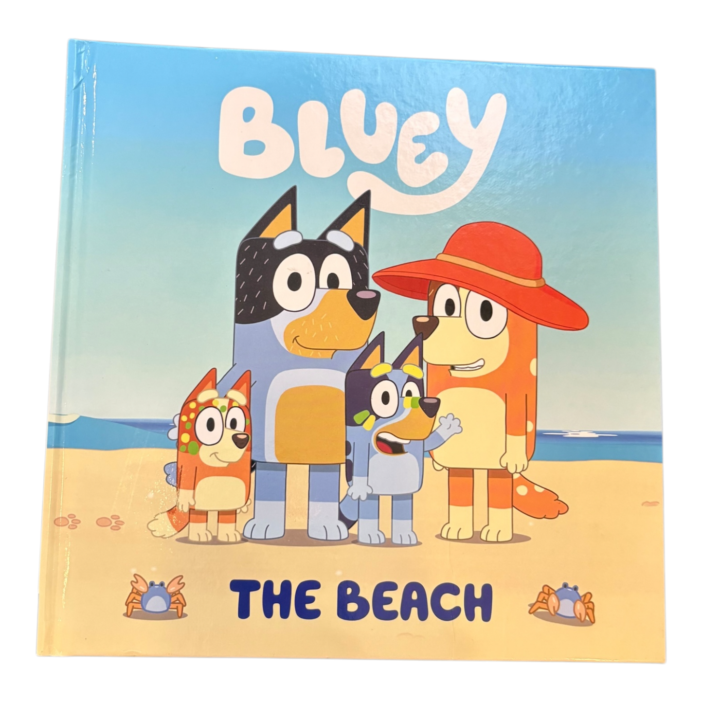 Bluey: The Beach