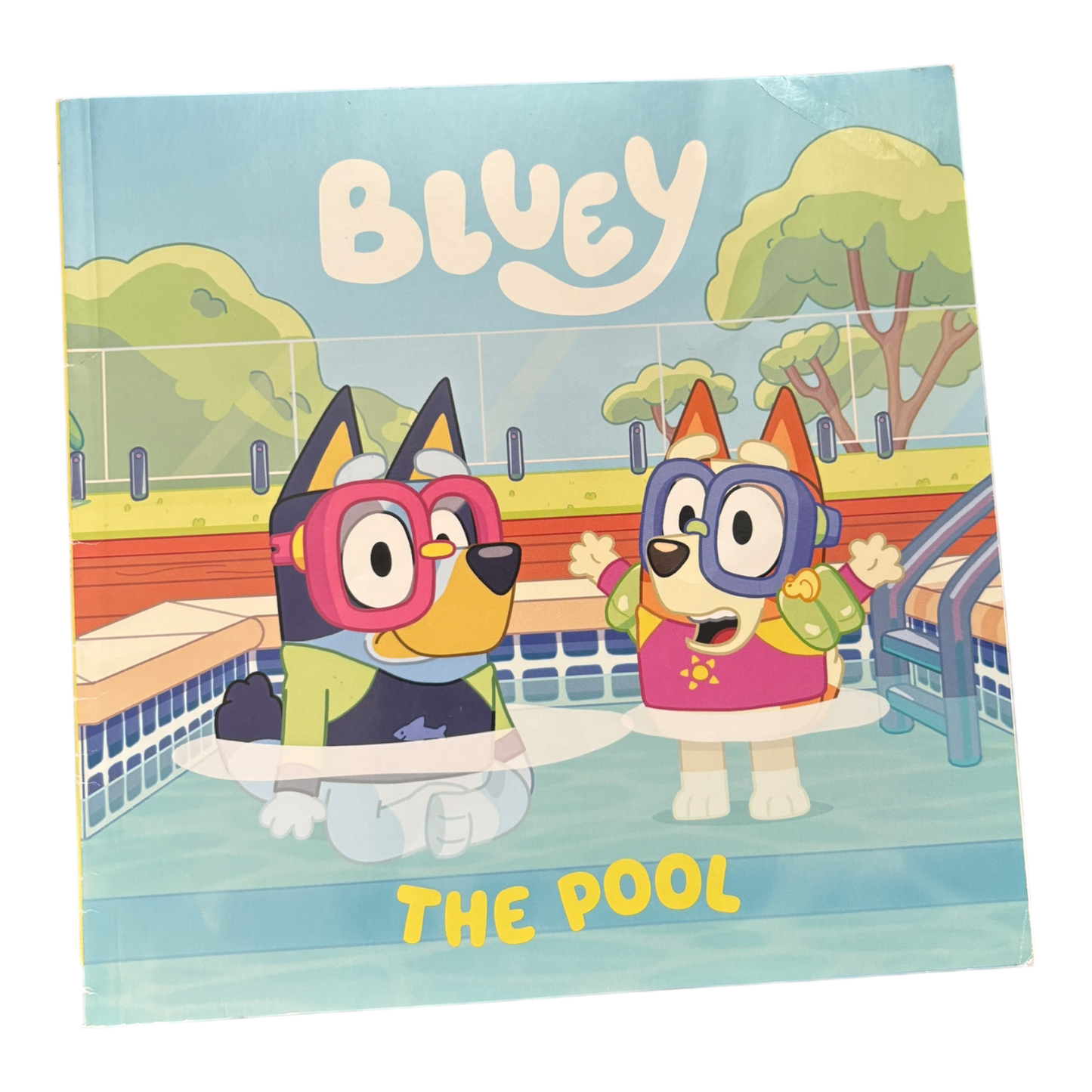 Bluey: The Pool
