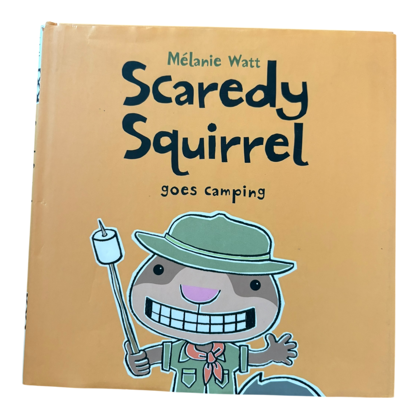 Scaredy Squirrel goes camping