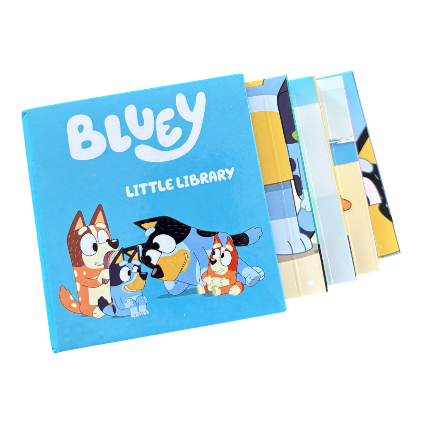 Bluey Little Library