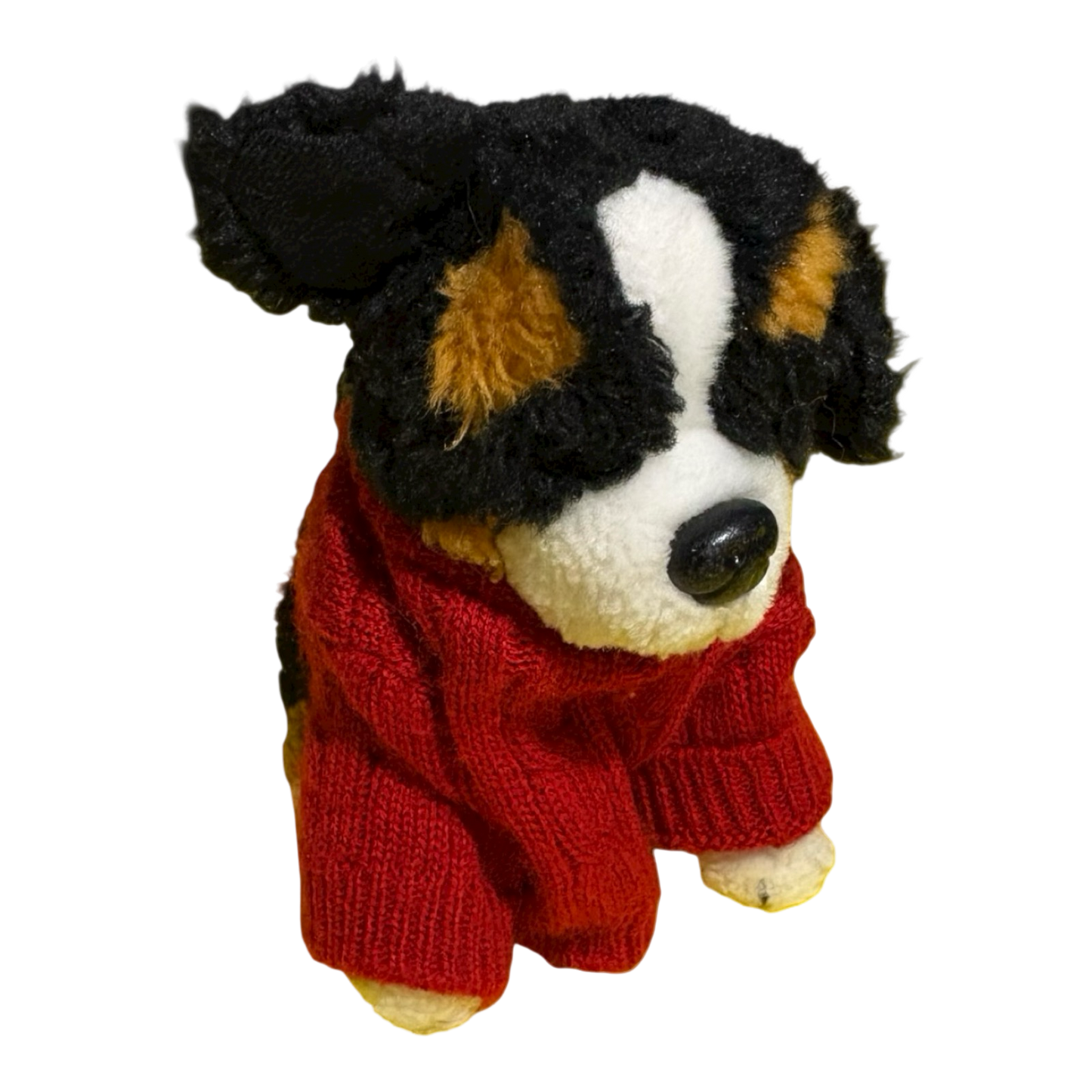 Bernese Dog with top