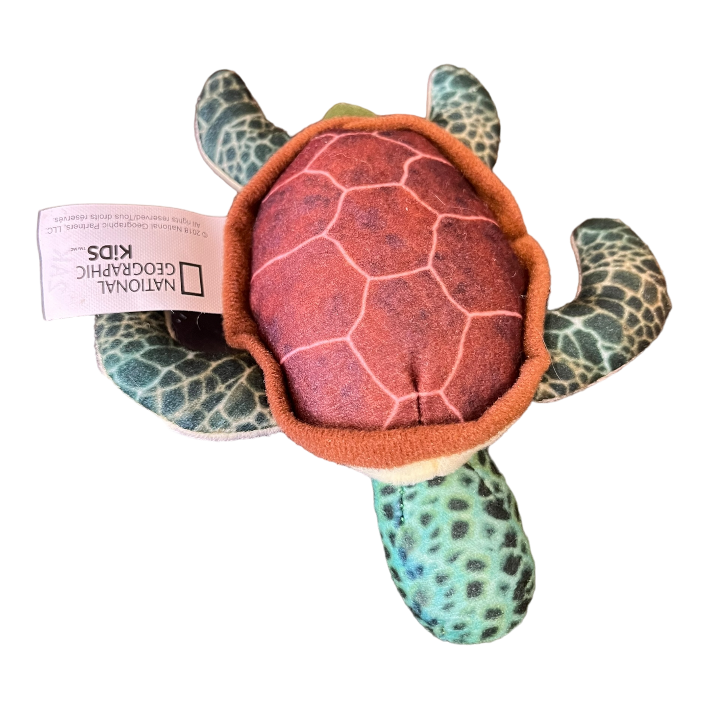 Small Turtle (4")