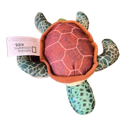 Small Turtle (4")