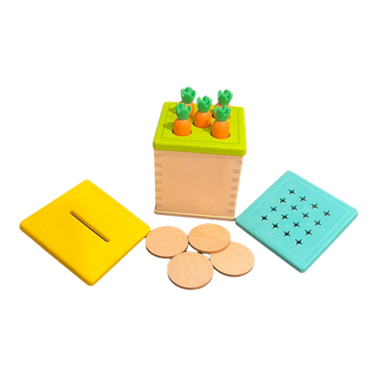 Box With Three Lids (Coins, Carrots, Posting)