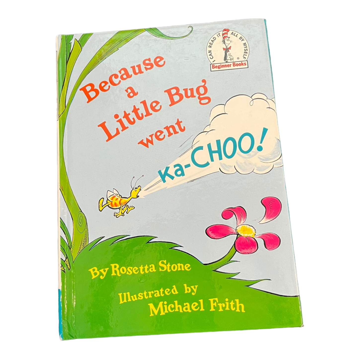 Because a Little Bug went ka-choo!