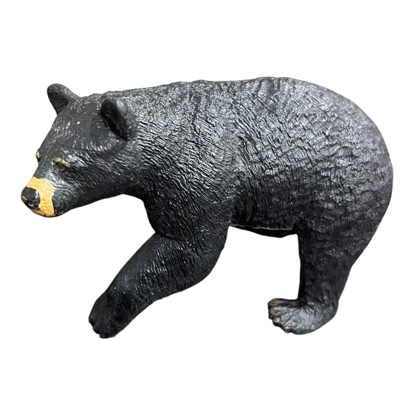 Black Bear