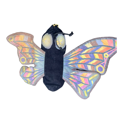 Transforming Caterpillar to Butterfly 11"