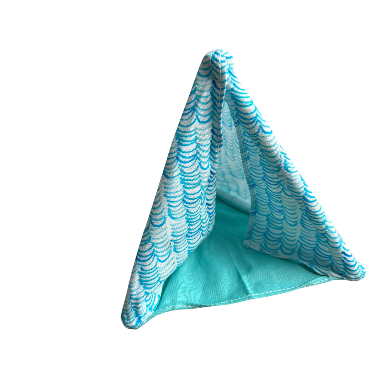 Tent and Sleeping Bags