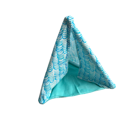 Tent and Sleeping Bags