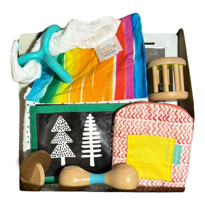 Charmer Playkit (3-4 months)