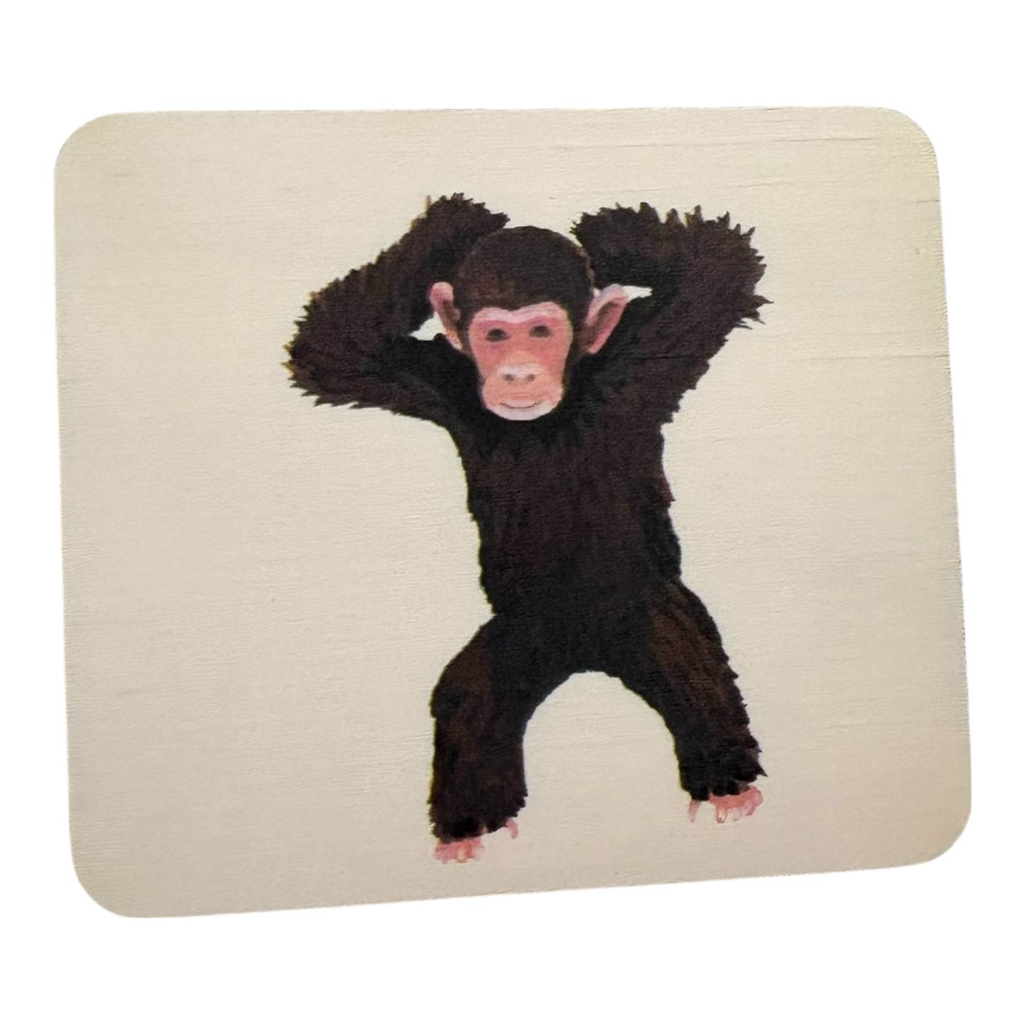 Animal Match replacement cards