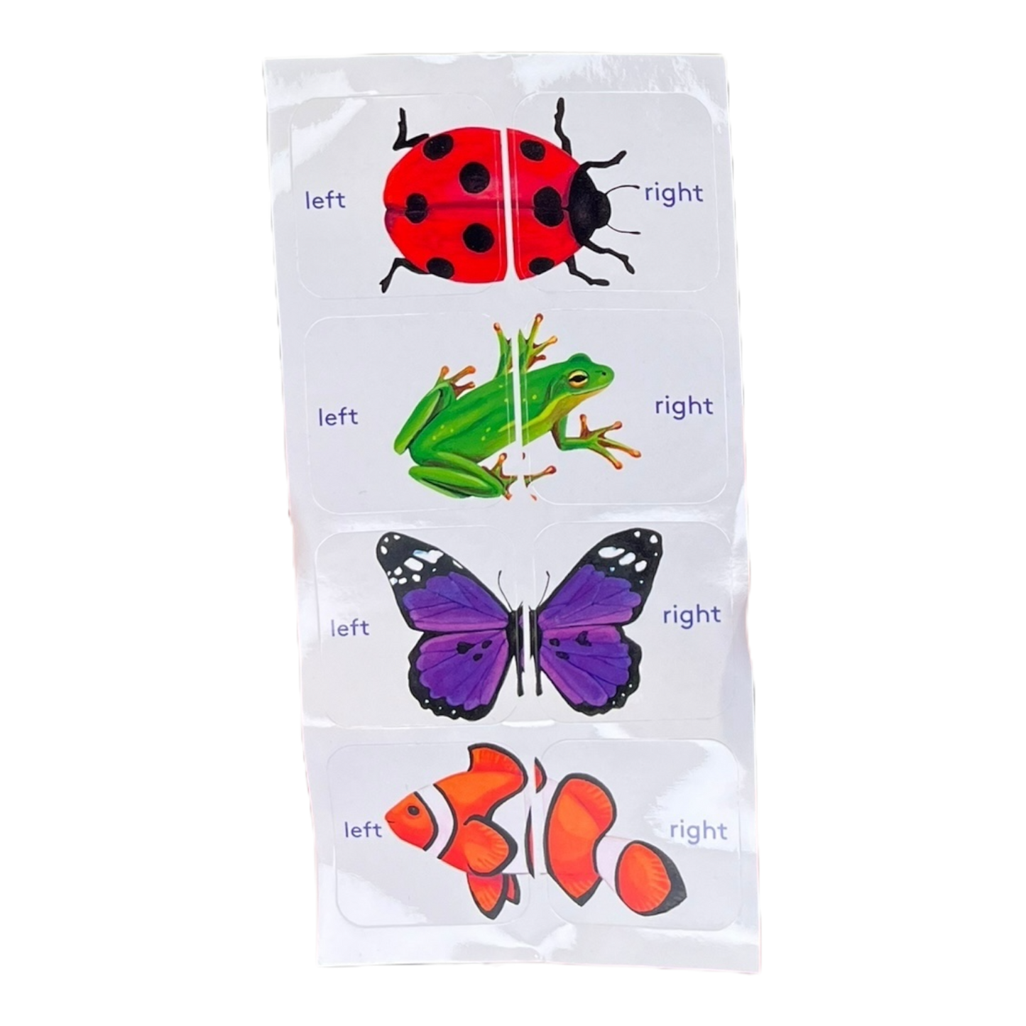 Left & Right Shoe Stickers