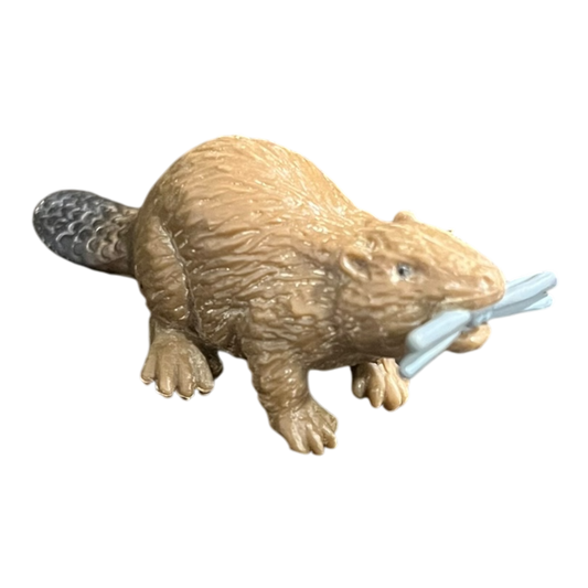 Beaver