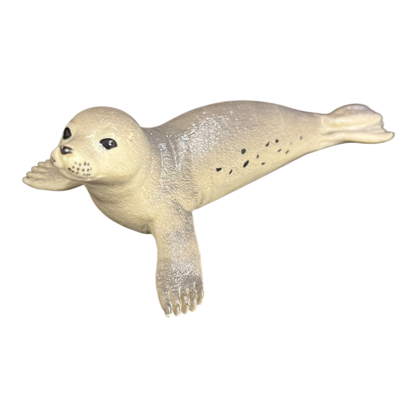 Seal