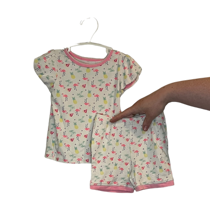 Carters Flamingo 2 piece set 2T