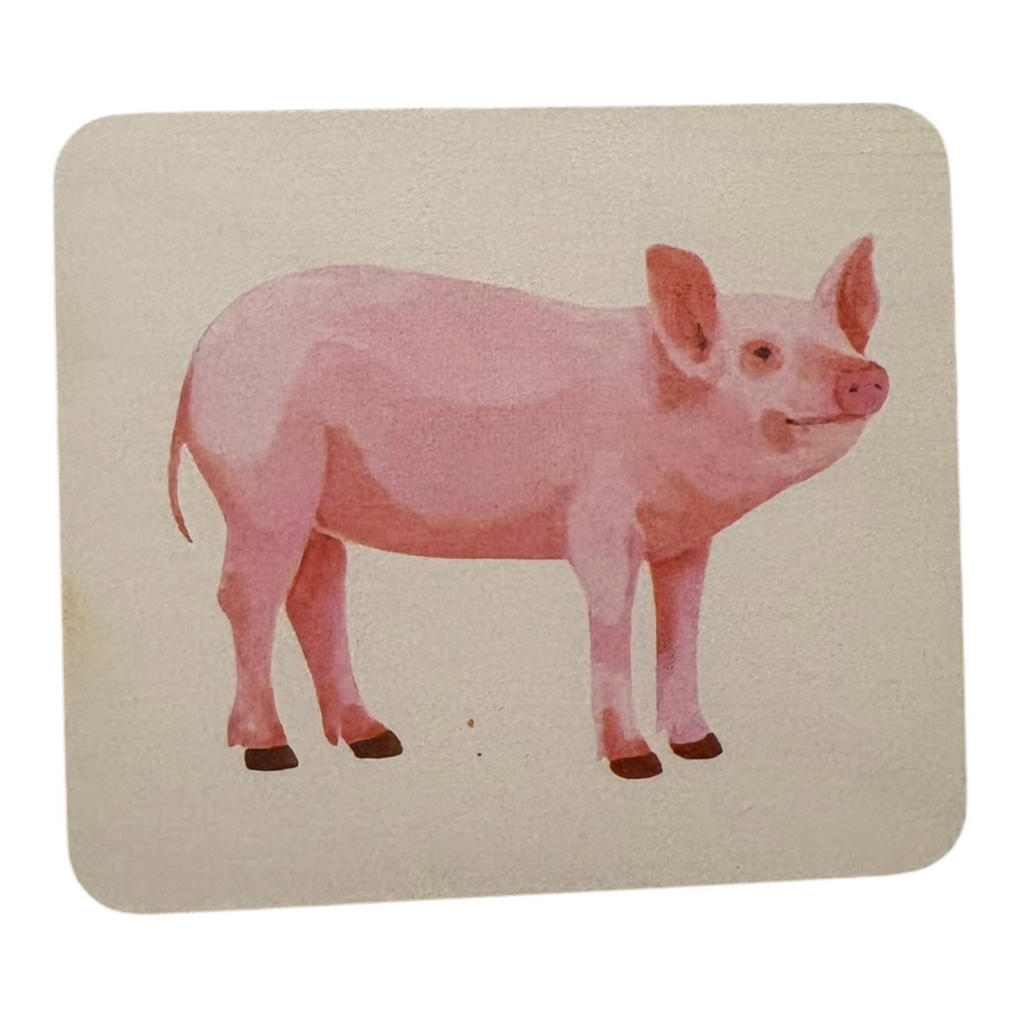 Animal Match replacement cards