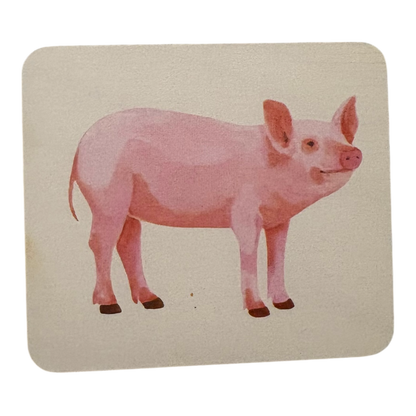 Animal Match replacement cards