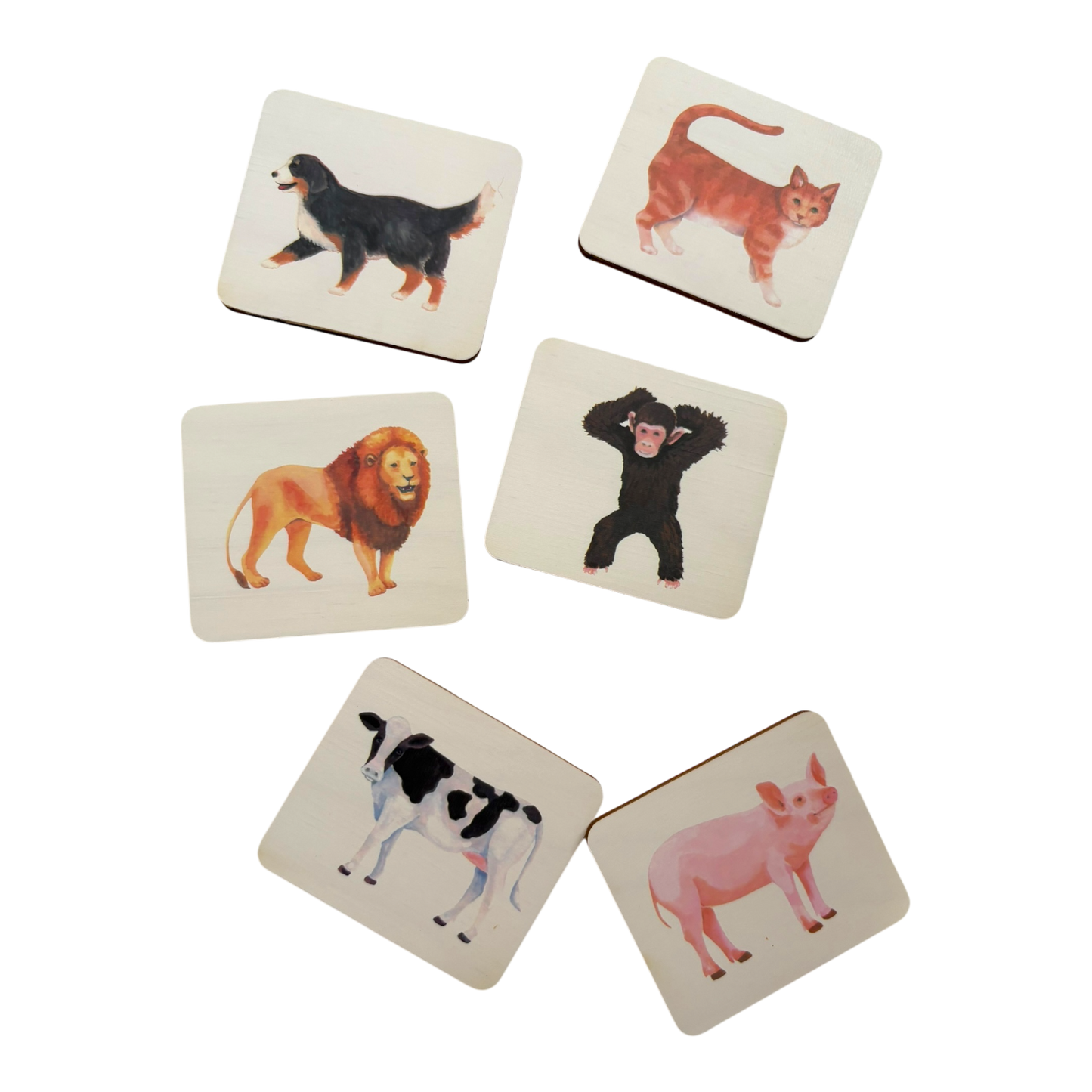 Animal Match replacement cards