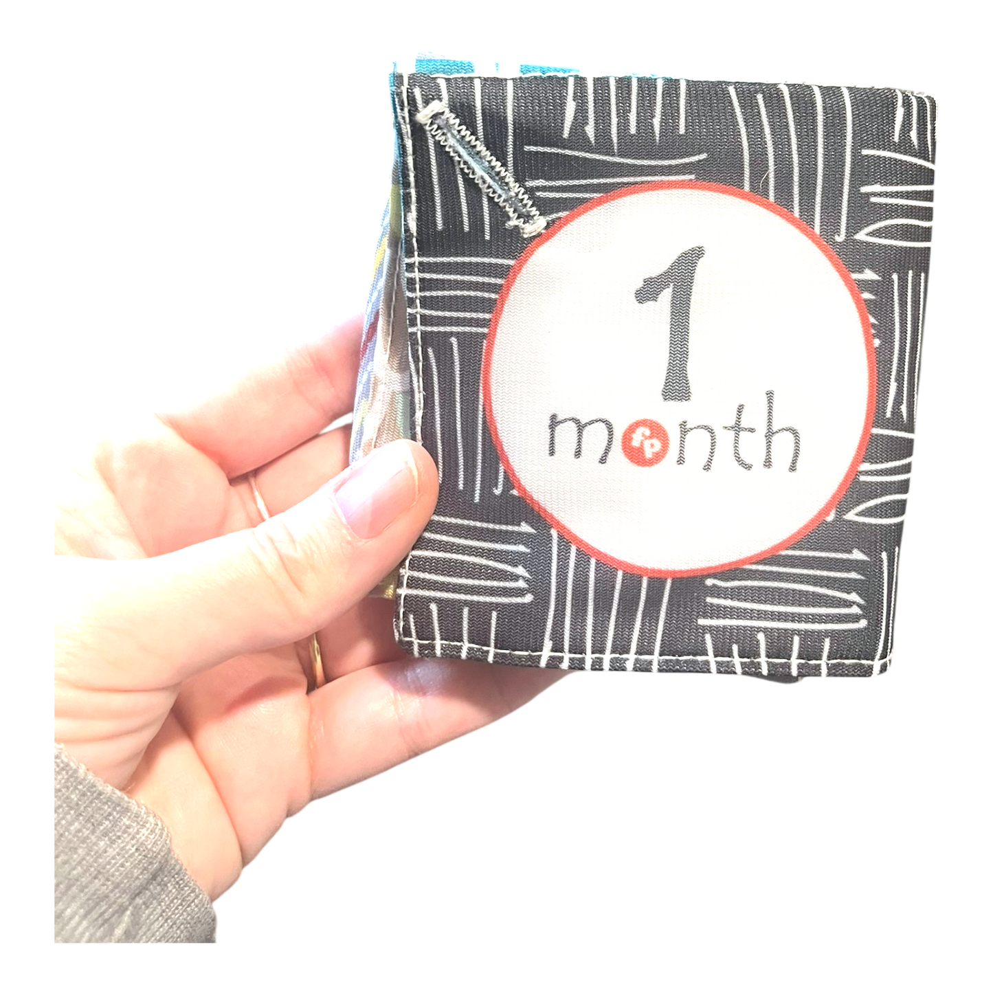 Crinkle months fold-up book