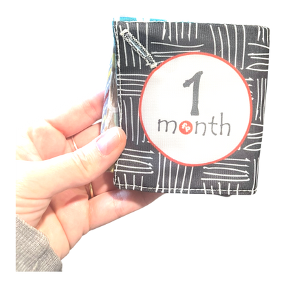 Crinkle months fold-up book