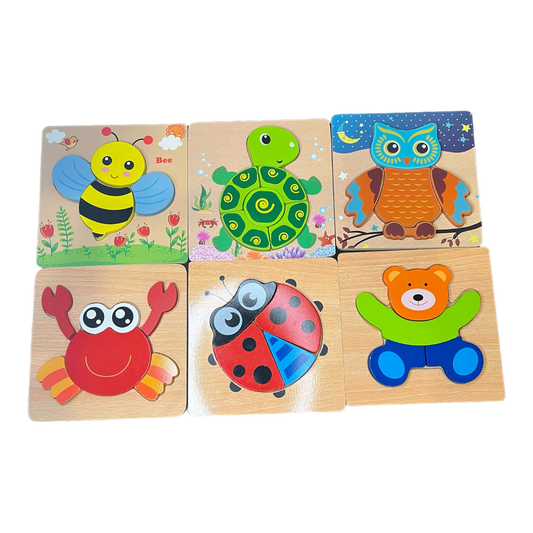 Set of 6 Mini Puzzles