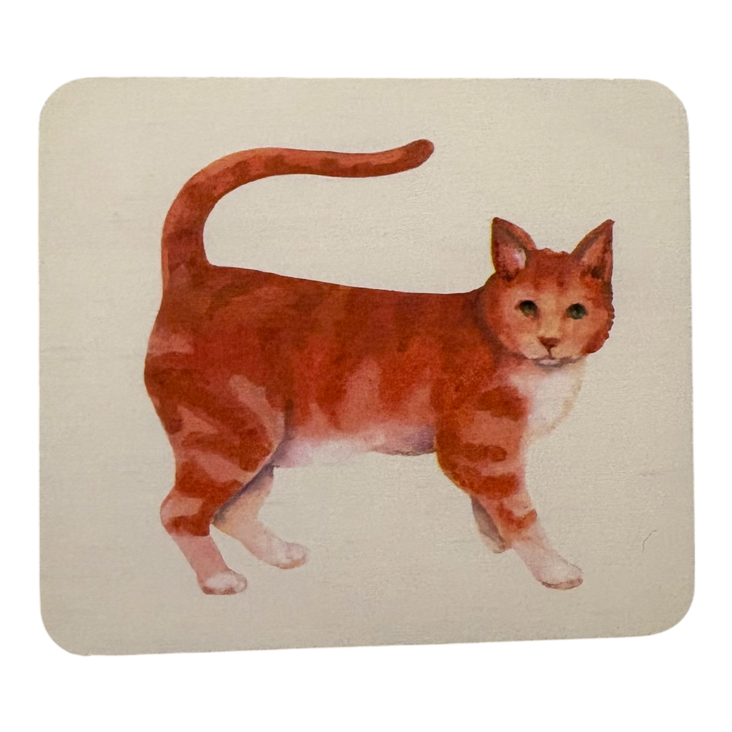 Animal Match replacement cards