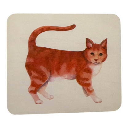 Animal Match replacement cards