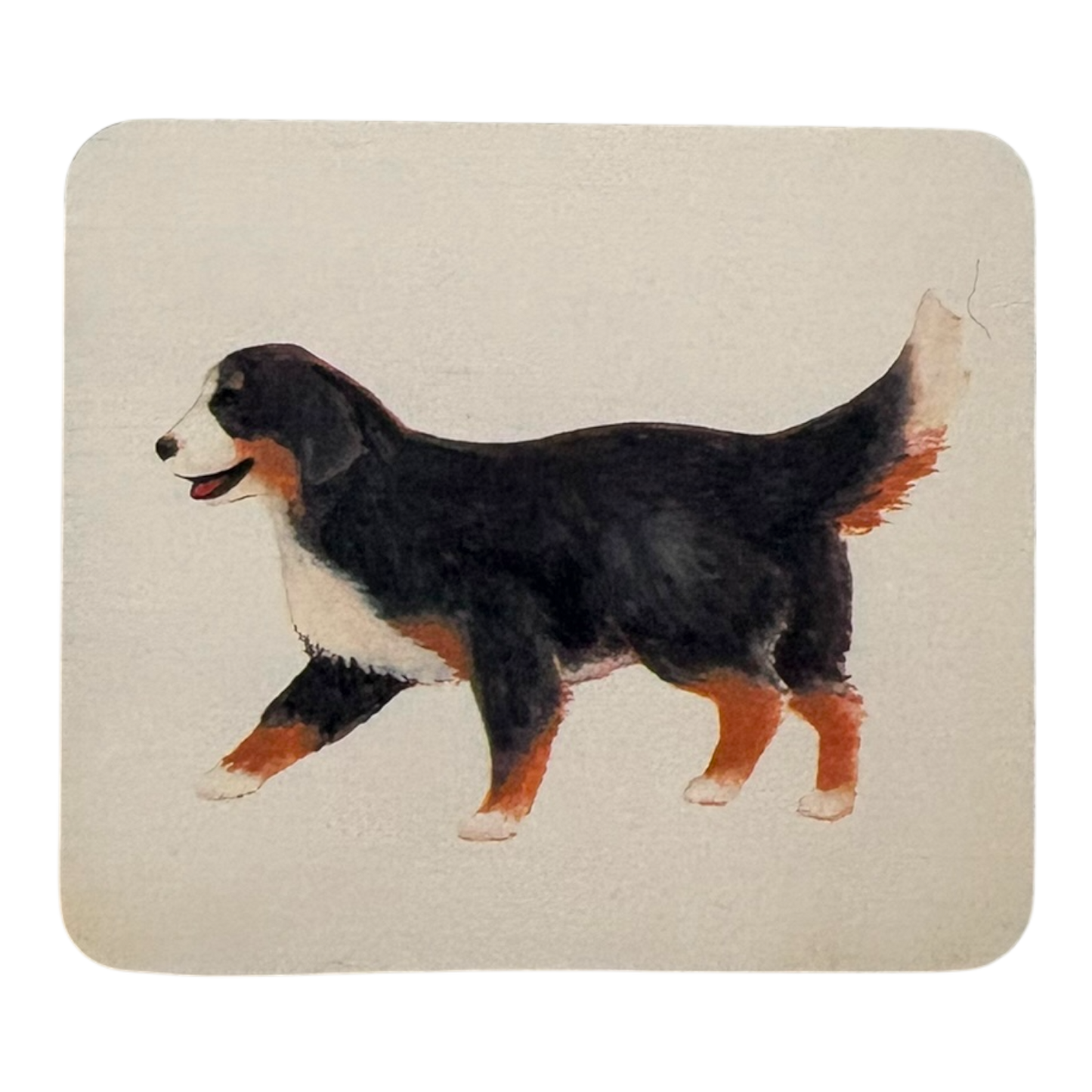 Animal Match replacement cards