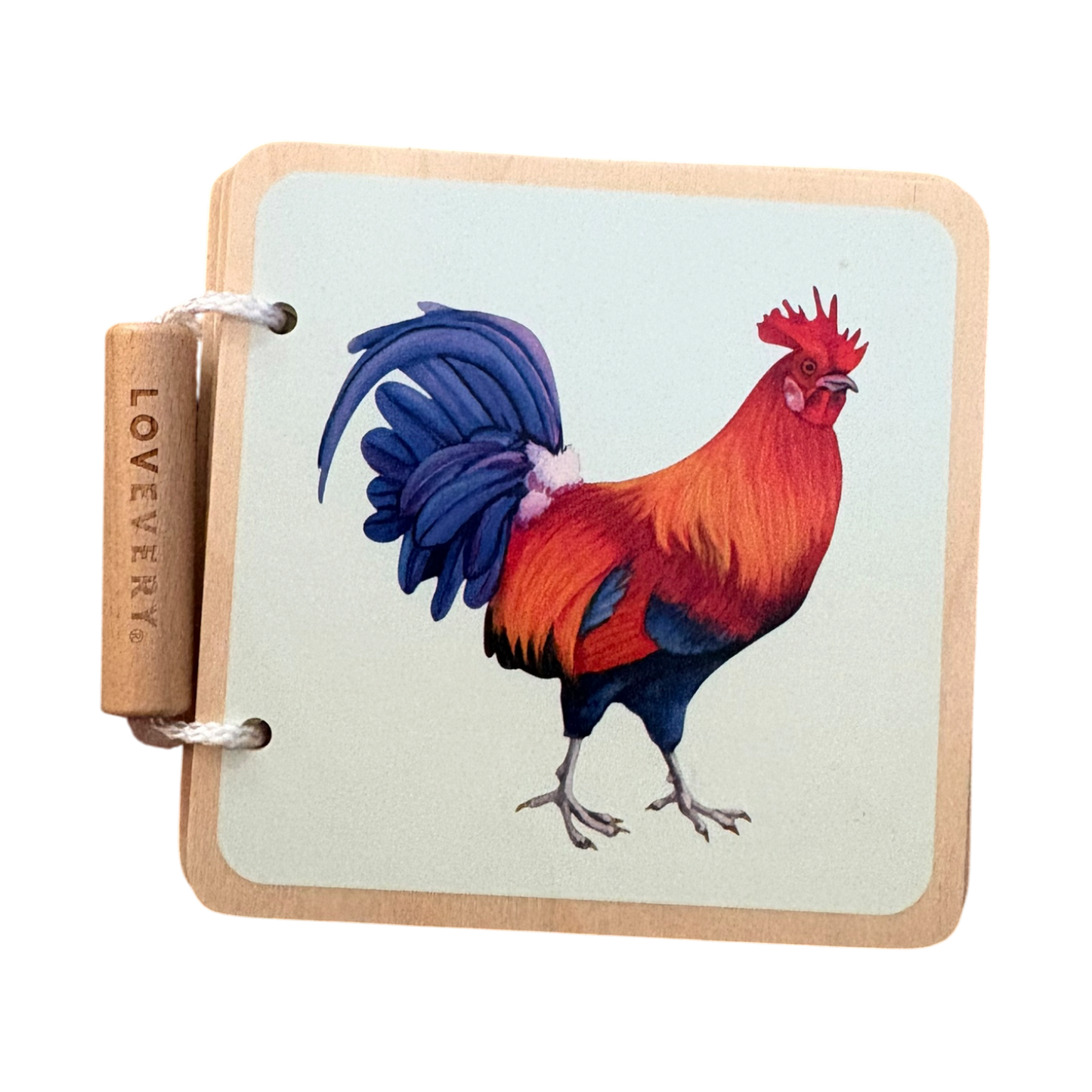 Colourful Animals Wooden Book