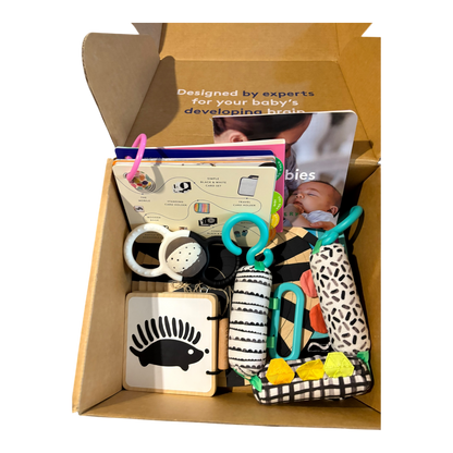 Looker Playkit (1-2 months)