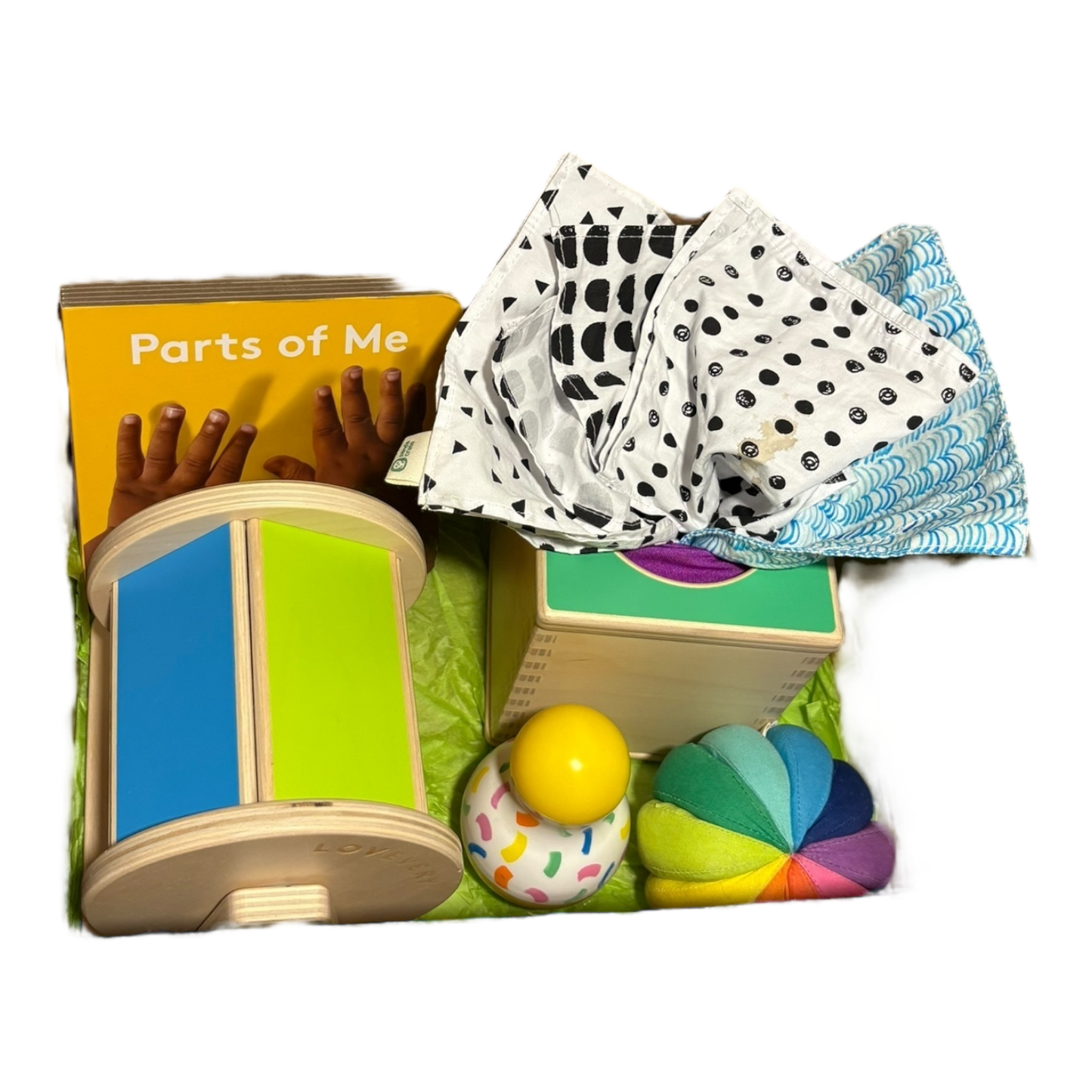 Senser Playkit (5-6 months)