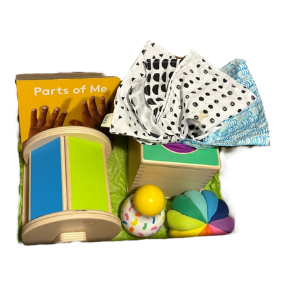 Senser Playkit (5-6 months)