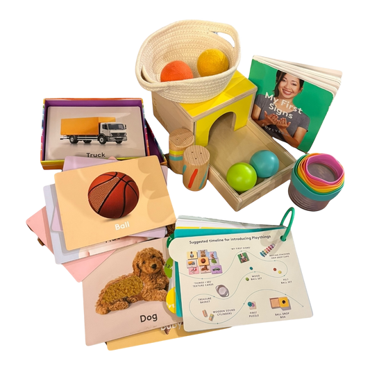 Inspector Playkit (7-8 months)