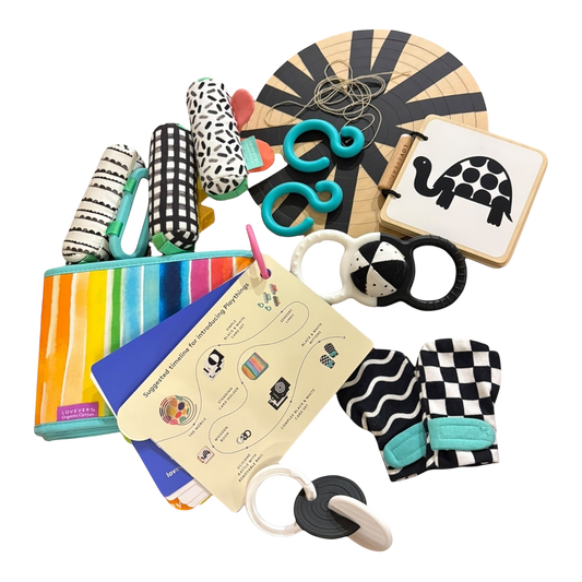 Looker Playkit (1-2 months)