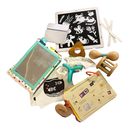 Charmer Playkit (3-4 months)