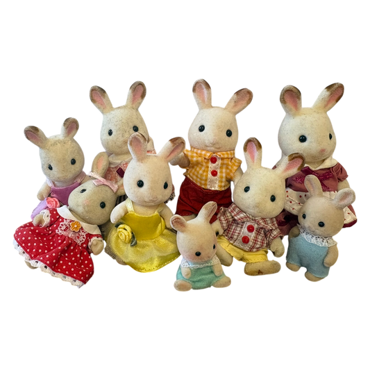 Bunny Family