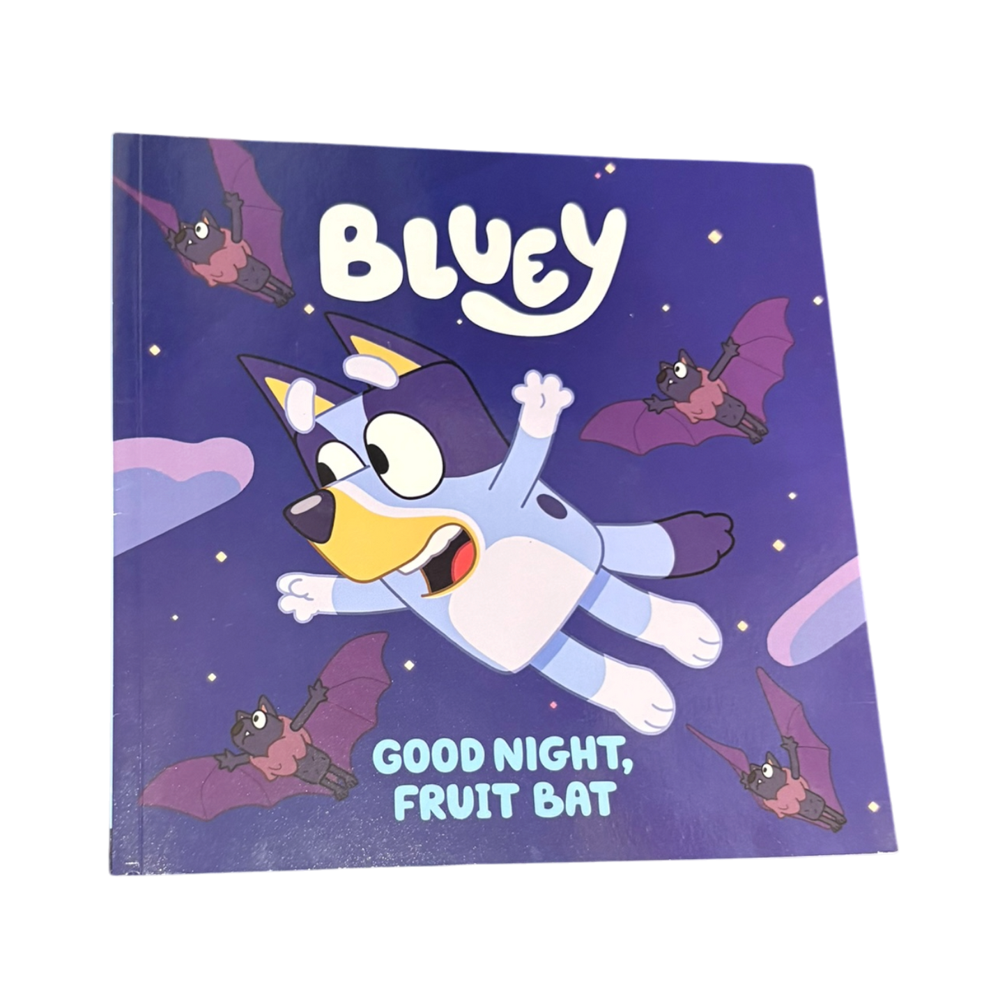 Bluey: Good Night, Fruit Bat