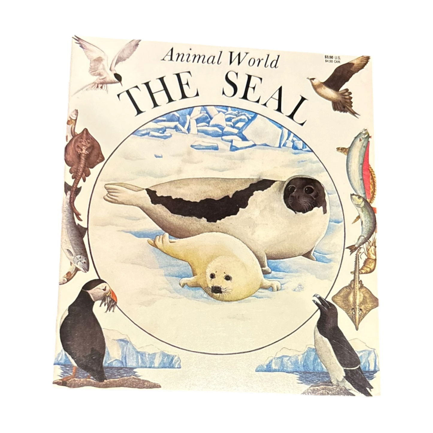 The Seal (Animal World