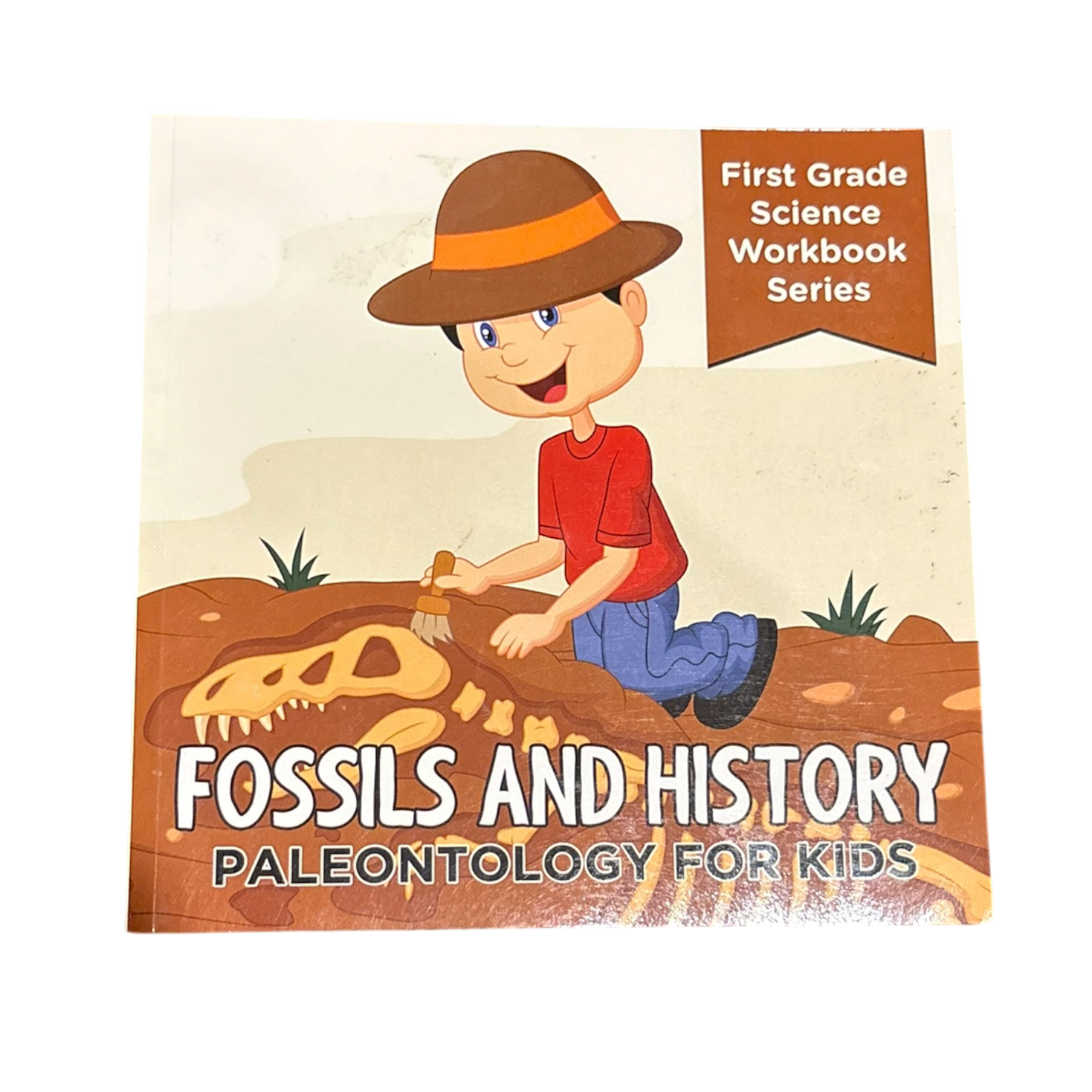 Fossils and History: Paleontology for Kids