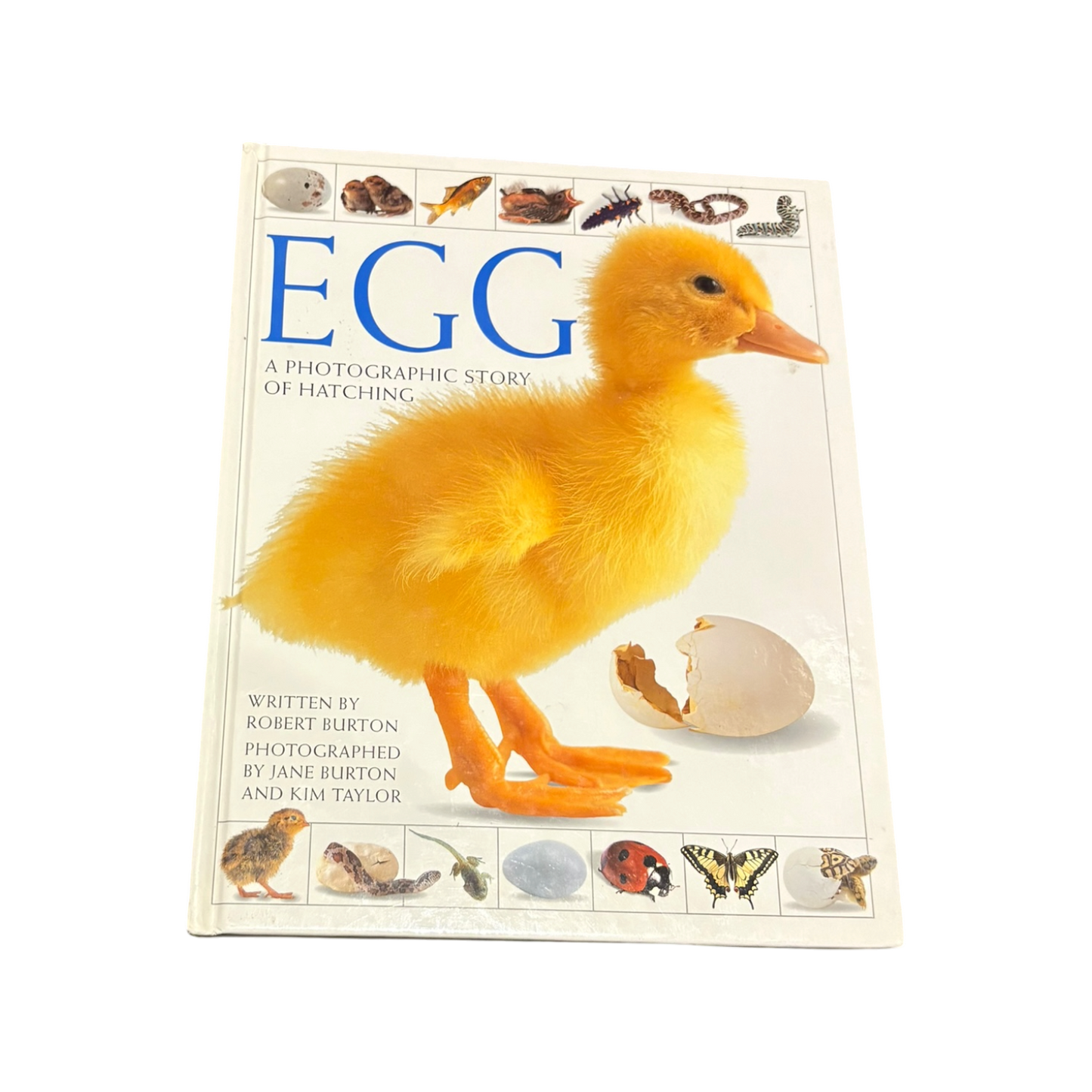 Egg: A Photographic Story of Hatching