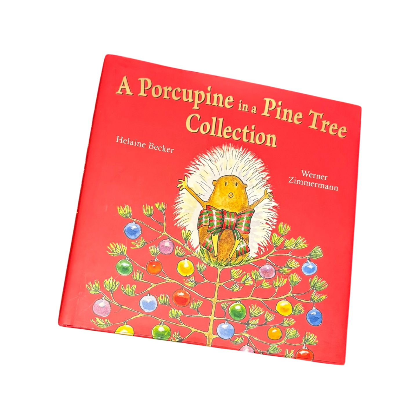 A Porcupine in a Pine Tree Collection