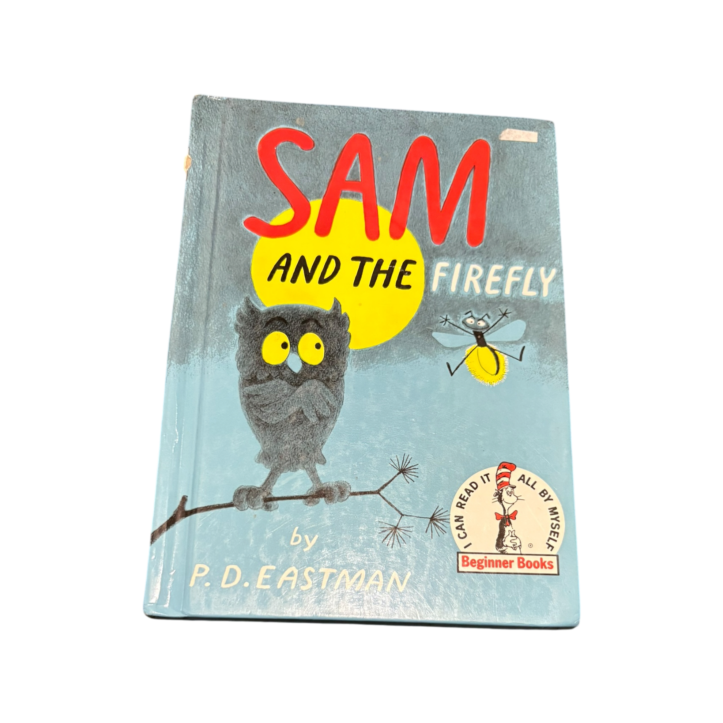 Sam and the Firefly