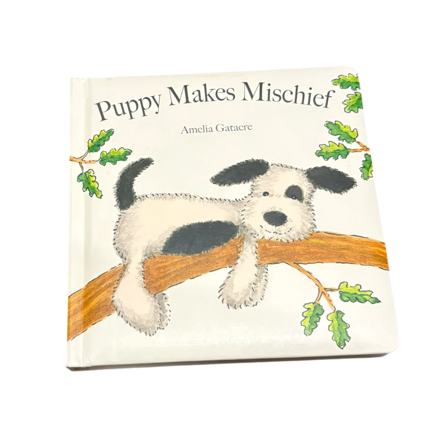 Puppy Makes mischief