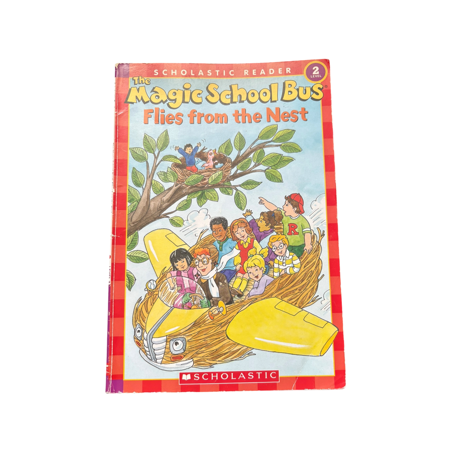 The Magic School Bus Flies from the Nest
