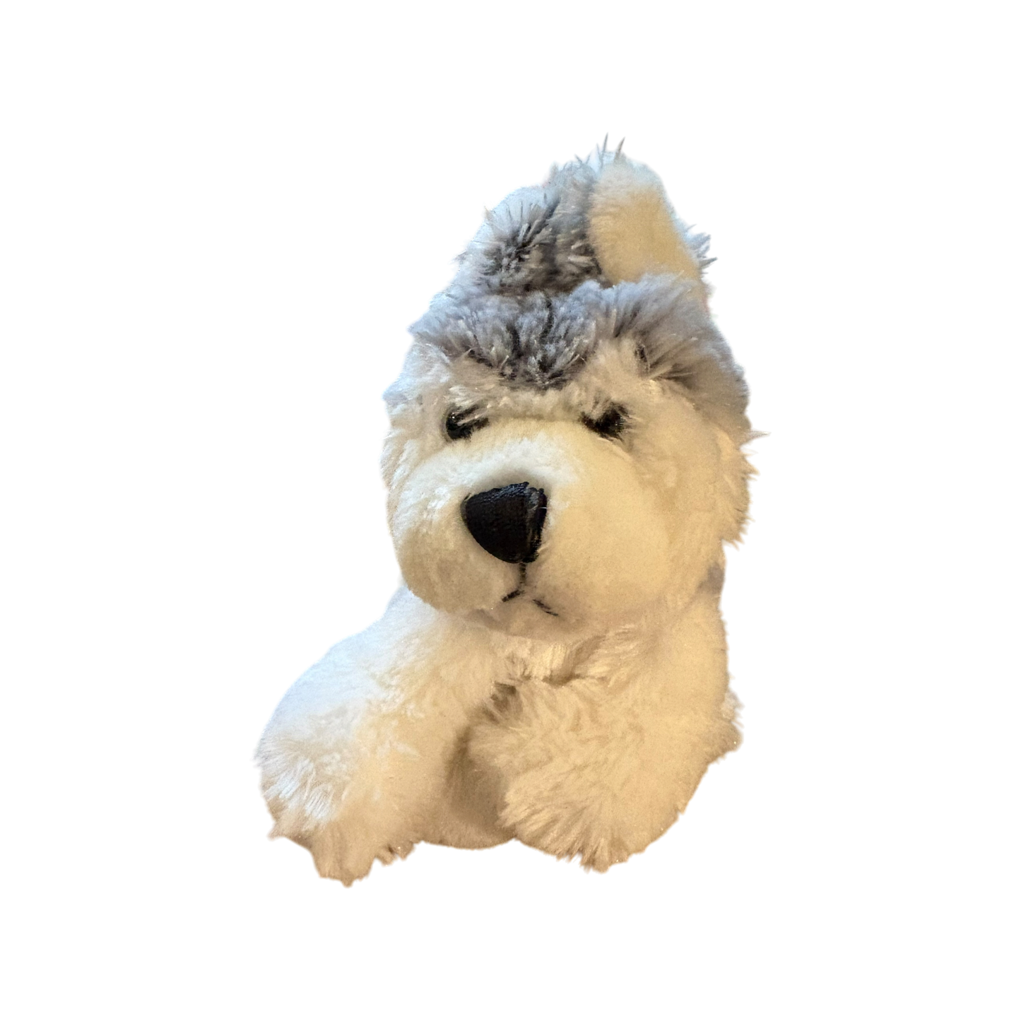 Webkinz Husky